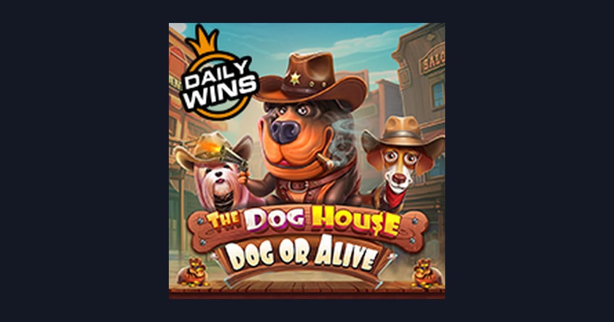 Mengenal Pola Maxwin dan Strategi Main The Dog House Dog Or Alive